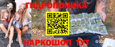 индика Новозыбков