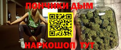 индика Новозыбков