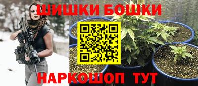 индика Новозыбков