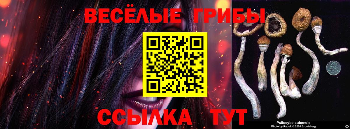 Галлюциногенные грибы Psilocybe Холмск
