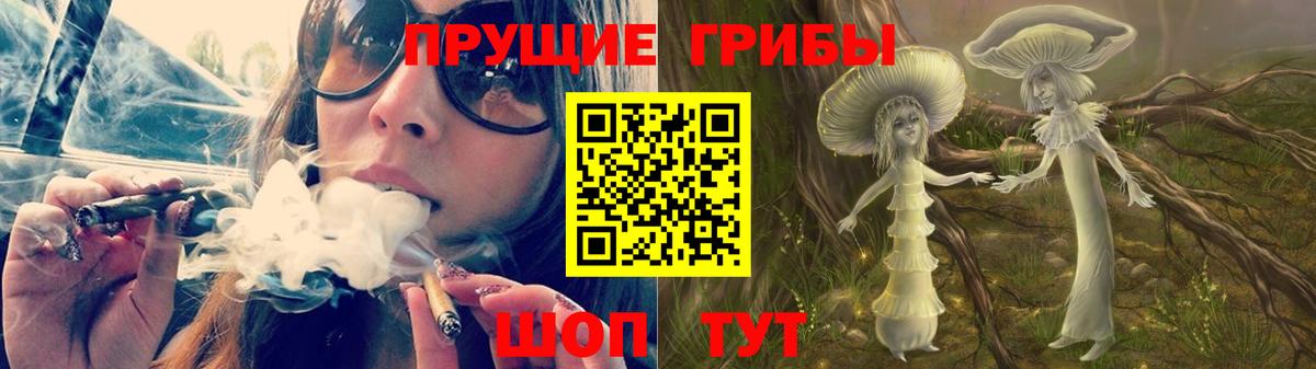 Галлюциногенные грибы Cubensis  Вход с VPN  Холмск 